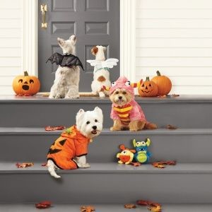 dog-halloween